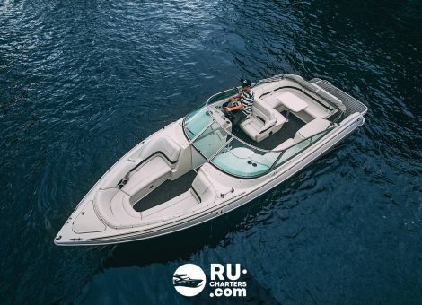«formula 260 Br» Аренда катера в СПб