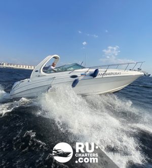 Аренда катера в СПб «sea Ray 315 Sundancer»