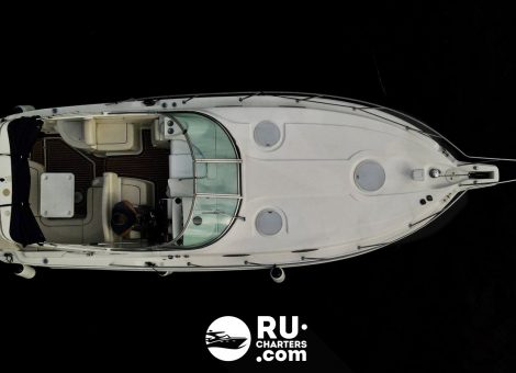 Аренда катера Wellcraft 3000 в Санкт Петербурге