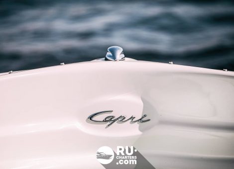 Аренда катера в СПб «bayliner 205 Capri»