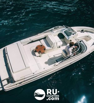 «bayliner 225 Br Ласточка» Аренда катера в СПб