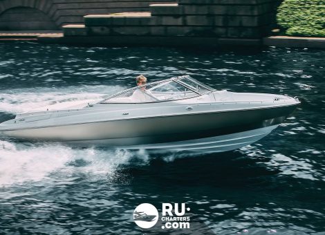 «bayliner 225 Br Ласточка» Аренда катера в СПб