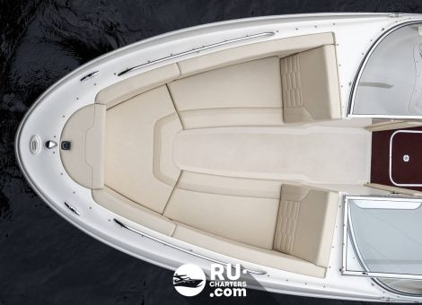 «bayliner 2350» Аренда катера в СПб