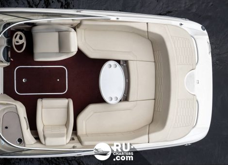 «bayliner 2350» Аренда катера в СПб