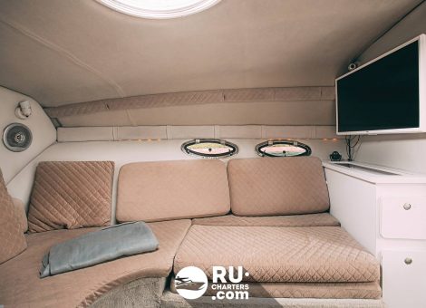 «crownline 268» Аренда катера в СПб