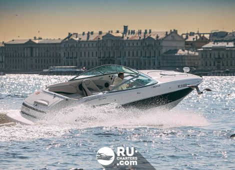 «maxum 2400sc Кот Кокос» Аренда катера в СПб