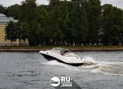 «sea Ray 270 Светлана» Аренда катера в СПб
