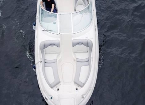 «sea Ray 270 Светлана» Аренда катера в СПб