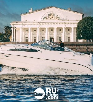 «bayliner 265 Ассоль» Аренда катера в СПб