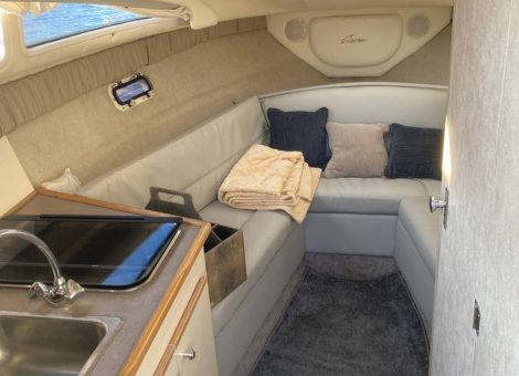 «bayliner 265 Ciera» Аренда катера в СПб