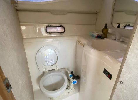 «bayliner 265 Ciera» Аренда катера в СПб