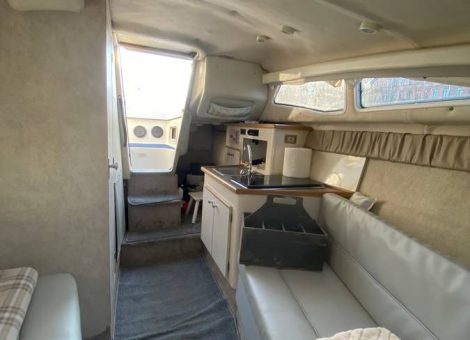 «bayliner 265 Ciera» Аренда катера в СПб