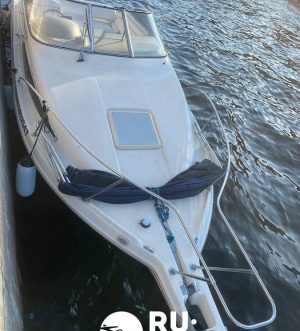«bayliner 265 Ciera» Аренда катера в СПб