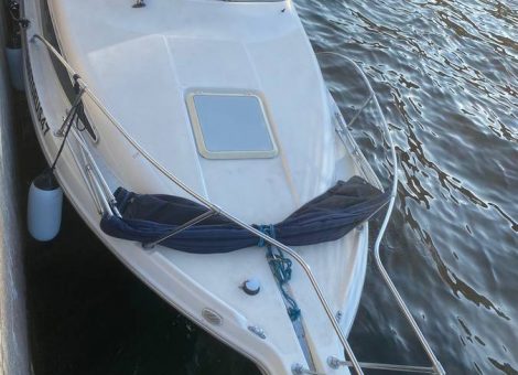 «bayliner 265 Ciera» Аренда катера в СПб
