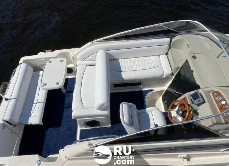 «bayliner 265 Ciera» Аренда катера в СПб