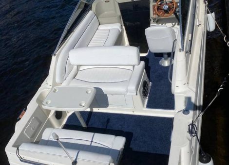 «bayliner 265 Ciera» Аренда катера в СПб