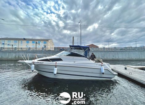 «bayliner 265 Ciera» Аренда катера в СПб