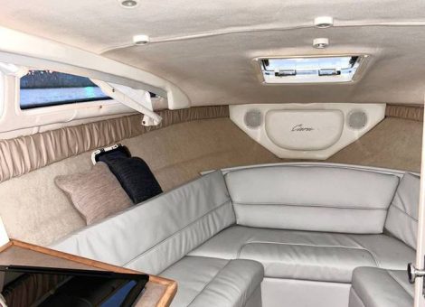 «bayliner 265 Ciera» Аренда катера в СПб
