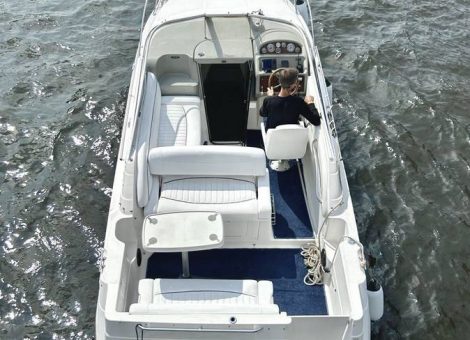 «bayliner 265 Ciera» Аренда катера в СПб