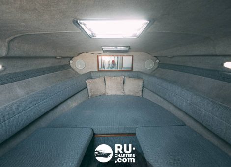 «sea Ray 230» Аренда катера в СПб