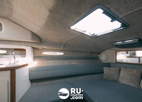 «sea Ray 230» Аренда катера в СПб