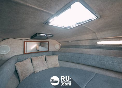 «sea Ray 230» Аренда катера в СПб
