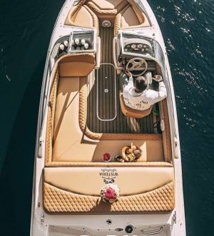 «bayliner 175 Вистерия» Аренда катера в СПб