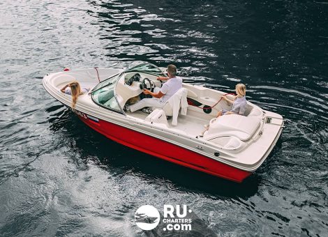 «searay 175 Sport Ибица» Аренда катера в СПб