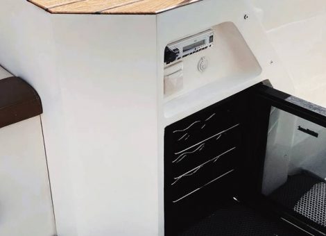 «wellcraft 210 Пупсень» Аренда катера в СПб