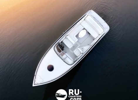 «crownline 266 Ccr Бруклин» Аренда катера в СПб