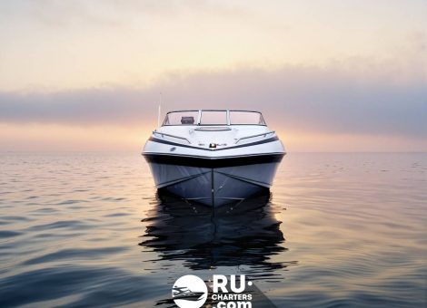 «crownline 266 Ccr Бруклин» Аренда катера в СПб