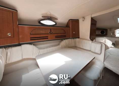 «sea Ray 315» Аренда катера в СПб