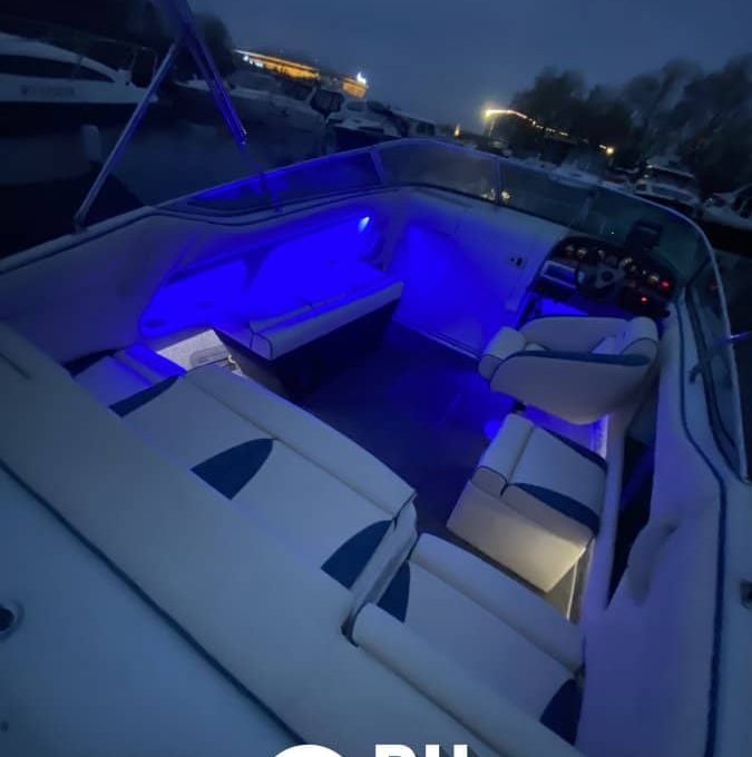 «Чапик Chaparral 215» Аренда катера в СПб