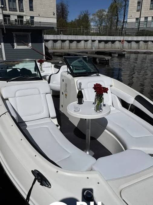 «searay 260 АМО» Аренда катера в СПб