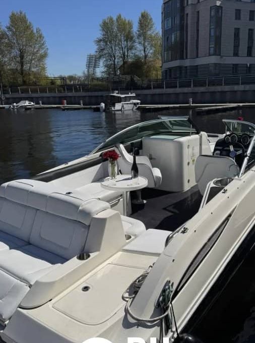 «searay 260 АМО» Аренда катера в СПб