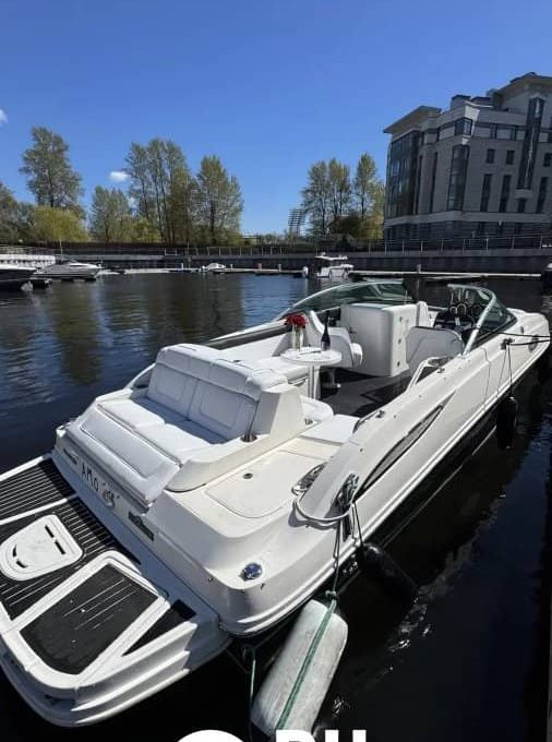 «searay 260 АМО» Аренда катера в СПб
