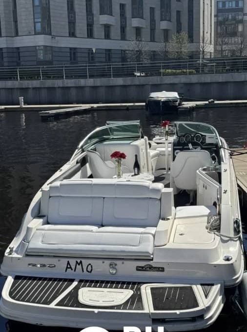 «searay 260 АМО» Аренда катера в СПб