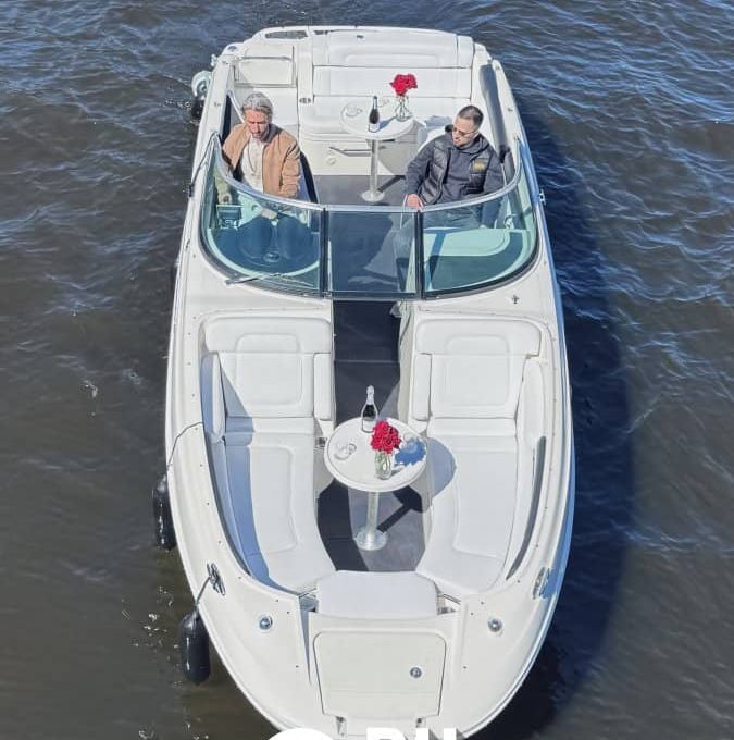 «searay 260 АМО» Аренда катера в СПб