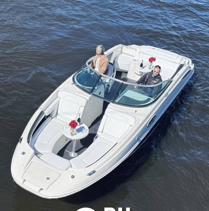 «searay 260 АМО» Аренда катера в СПб
