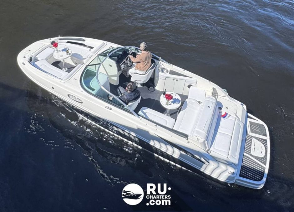 «searay 260 АМО» Аренда катера в СПб