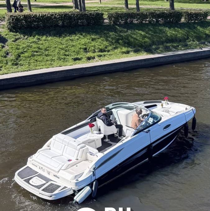 «searay 260 АМО» Аренда катера в СПб