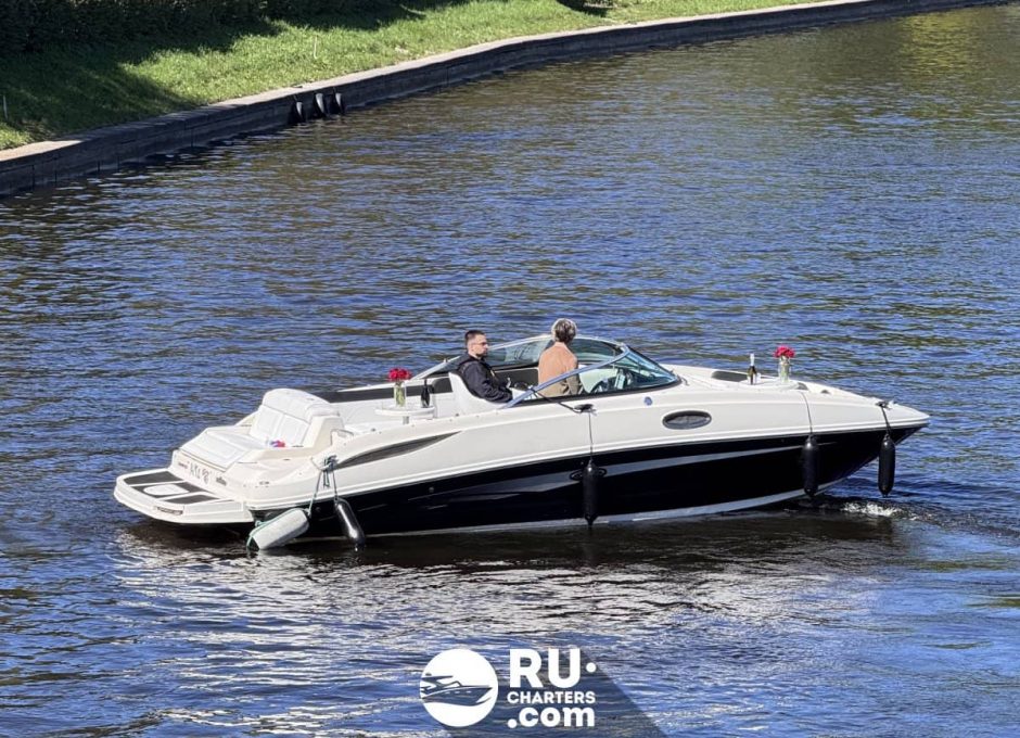 «searay 260 АМО» Аренда катера в СПб