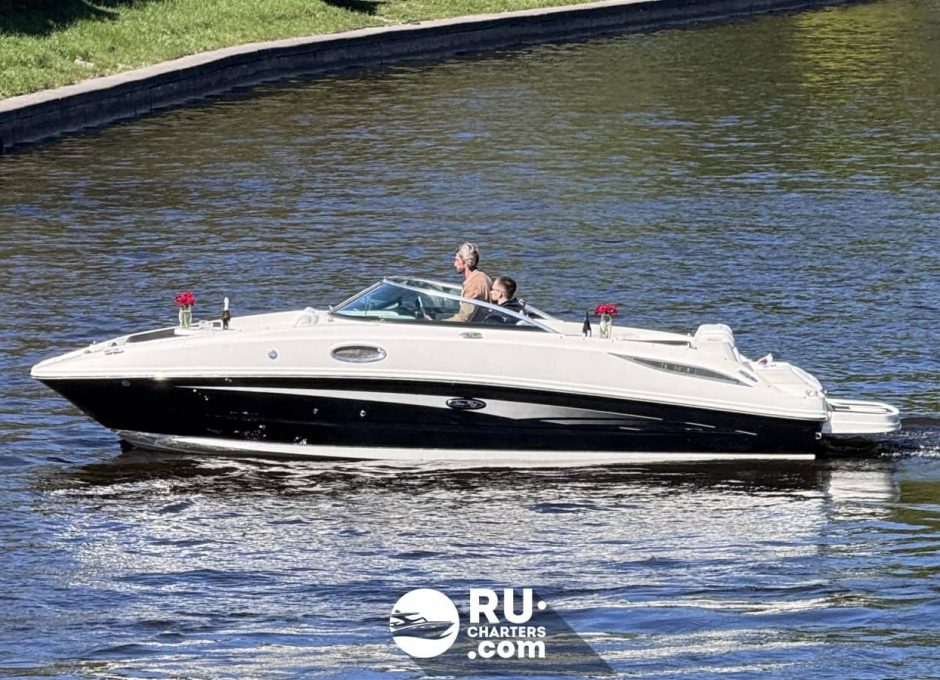 «searay 260 АМО» Аренда катера в СПб