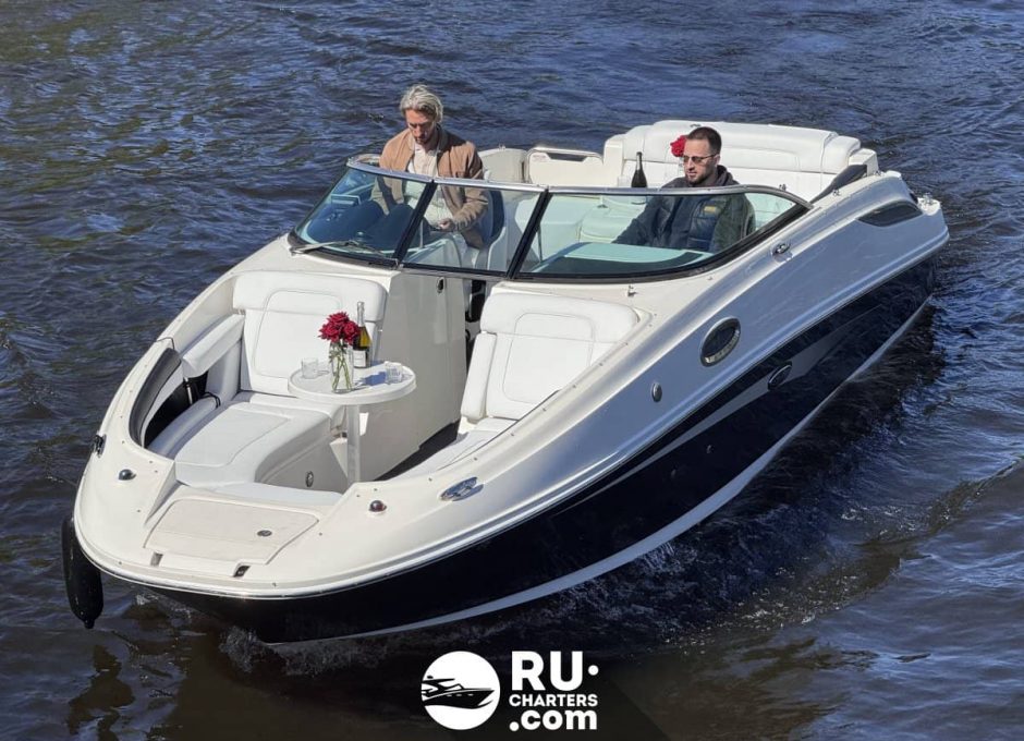 «searay 260 АМО» Аренда катера в СПб