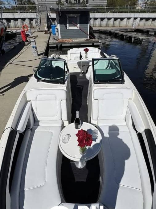 «searay 260 АМО» Аренда катера в СПб